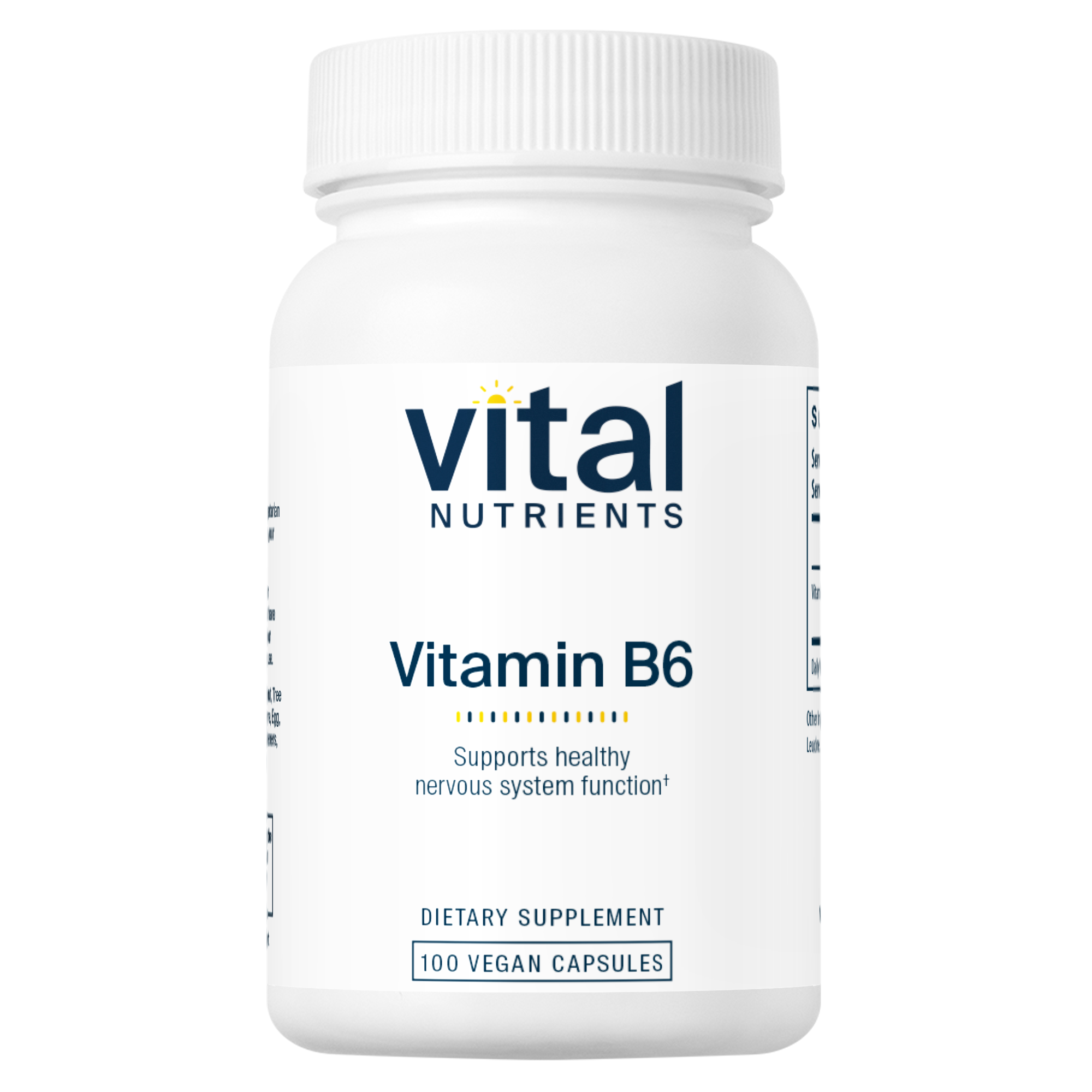 Vitamin B6 100mg